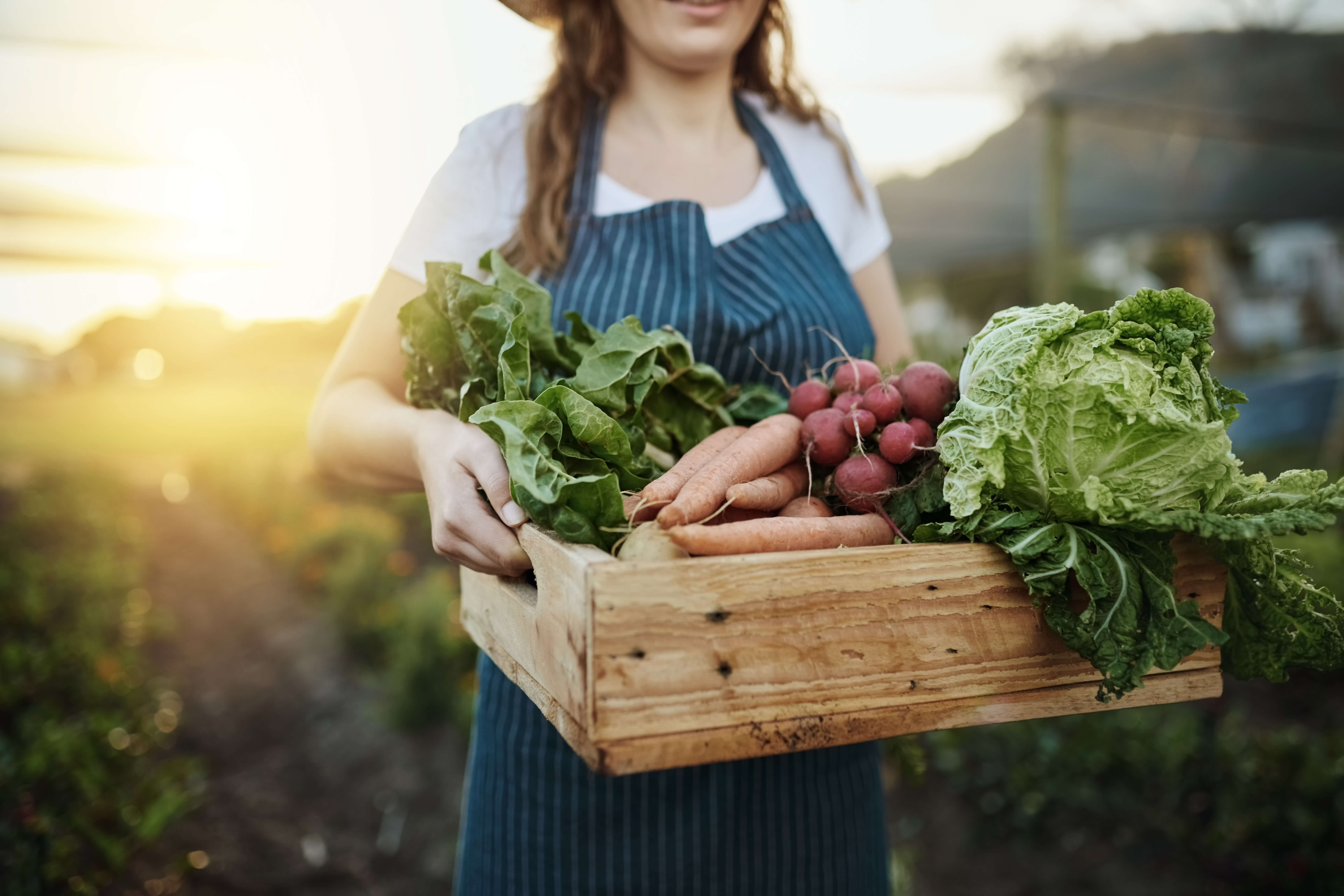 iStock-1097842636